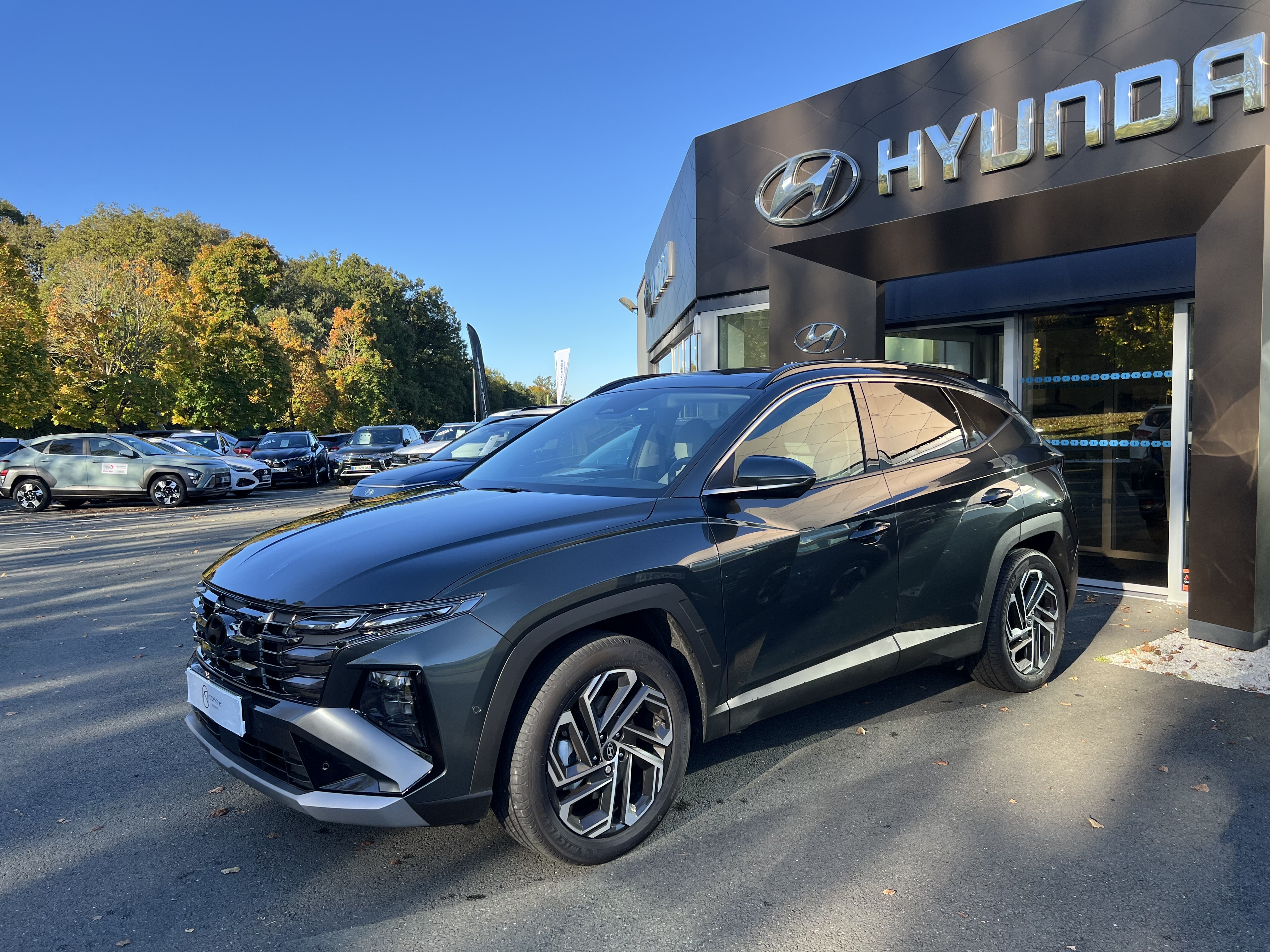 HYUNDAI Tucson 1.6 T-GDI 253 Plug-in BVA6 Executive - Véhicule Occasion Océane Auto