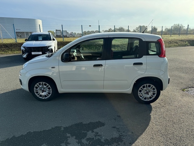 FIAT Panda 1.2 69 ch Pop - Véhicule Occasion Océane Auto