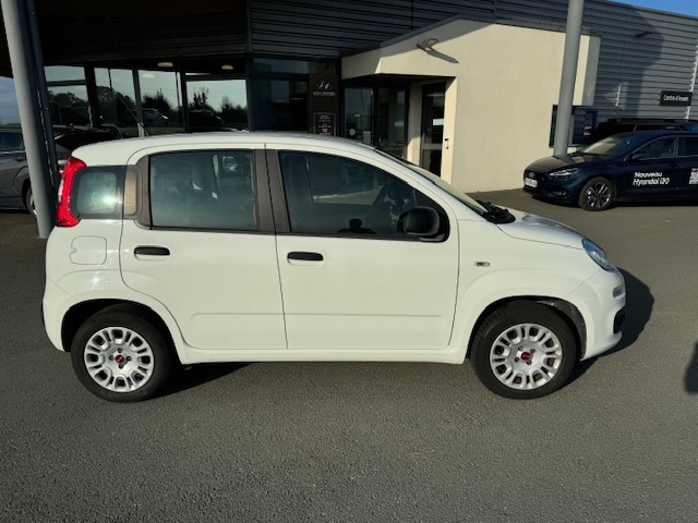 FIAT Panda 1.2 69 ch Pop - Véhicule Occasion Océane Auto