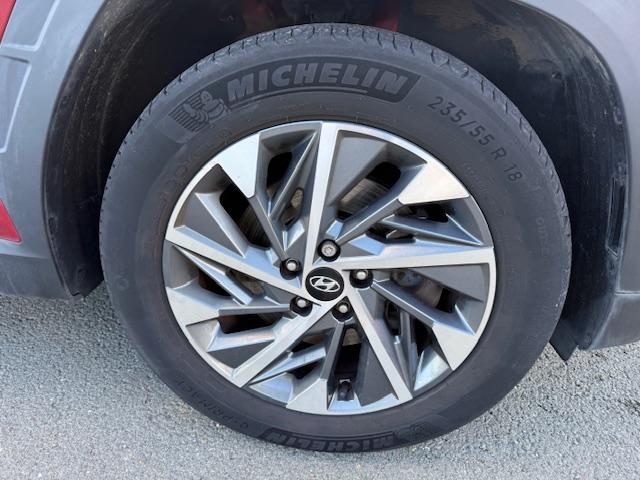 HYUNDAI Tucson 1.6 CRDi 136 Hybrid 48V DCT-7 Creative - Véhicule Occasion Océane Auto