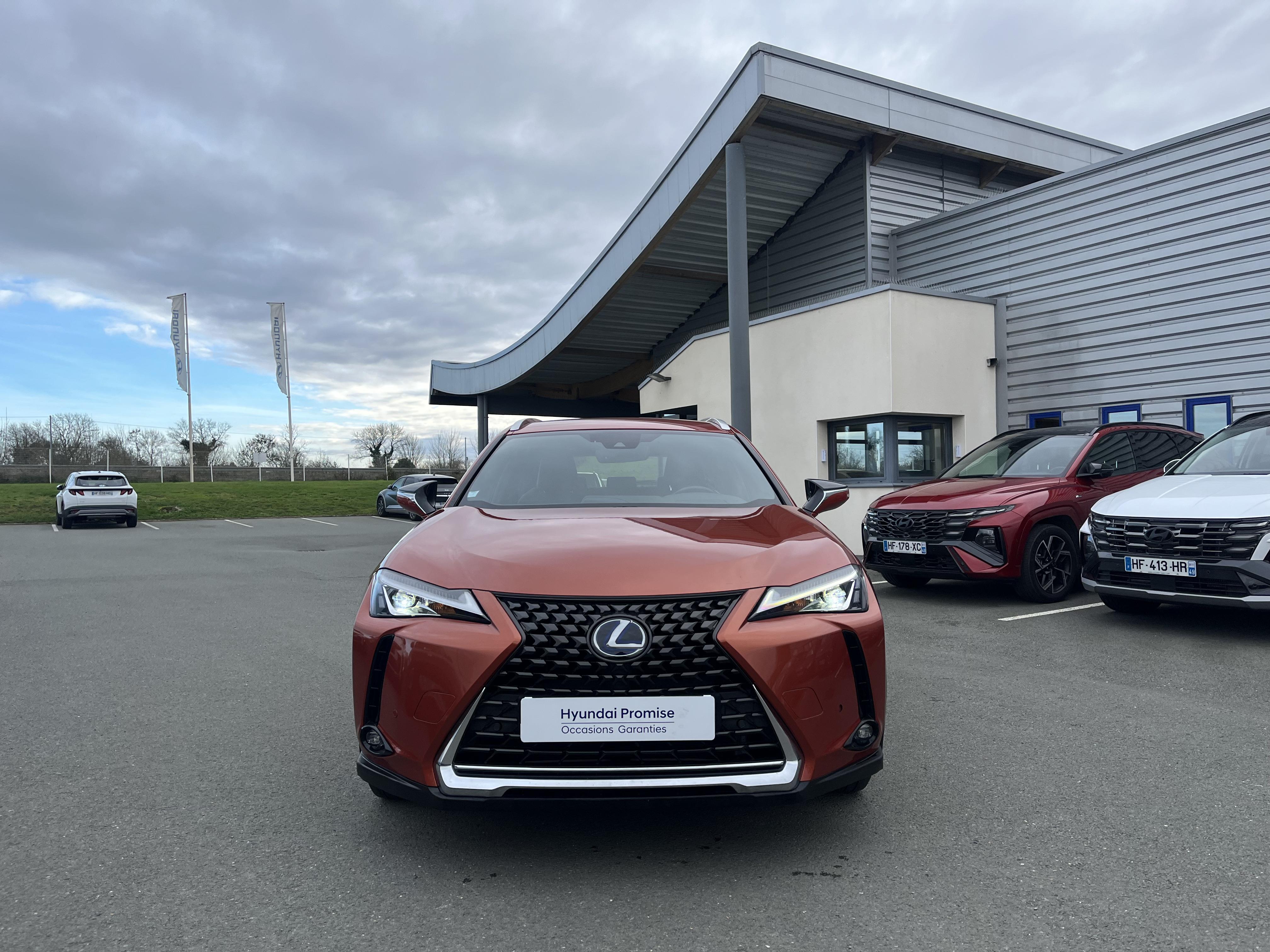 LEXUS UX 250h 2WD  - Véhicule Occasion Océane Auto