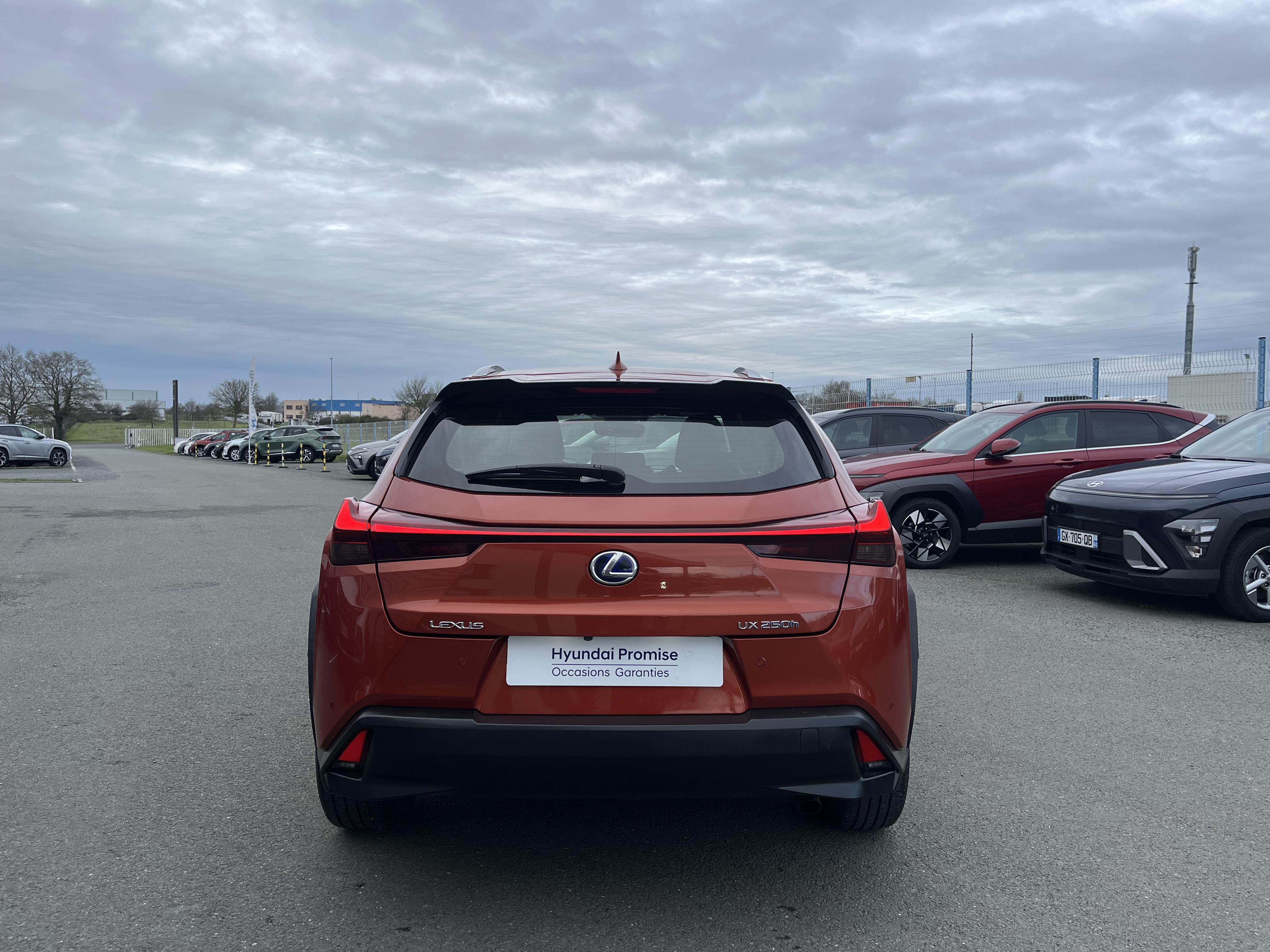 LEXUS UX 250h 2WD  - Véhicule Occasion Océane Auto