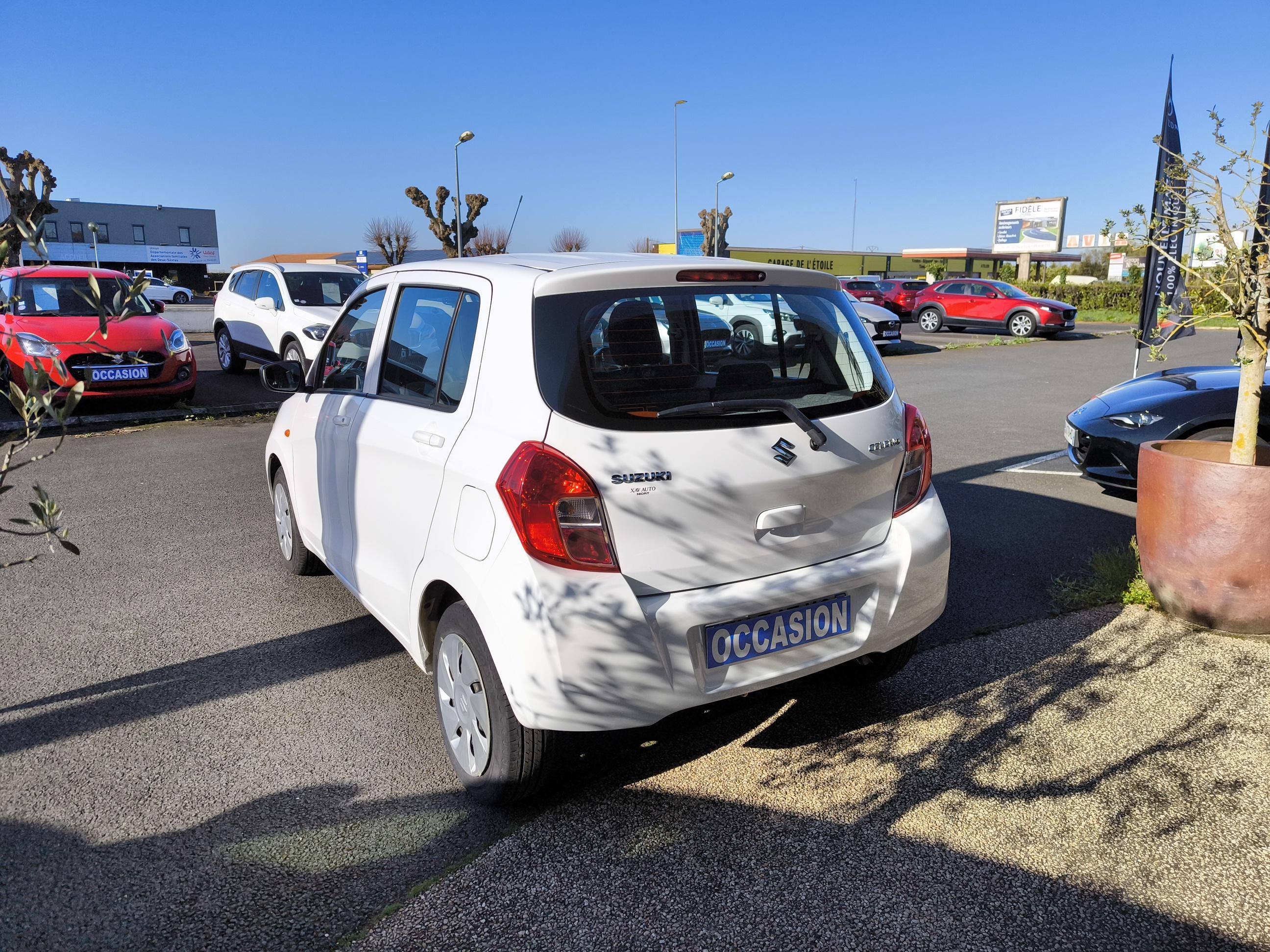 SUZUKI Celerio 1.0 Privilège - Véhicule Occasion Océane Auto