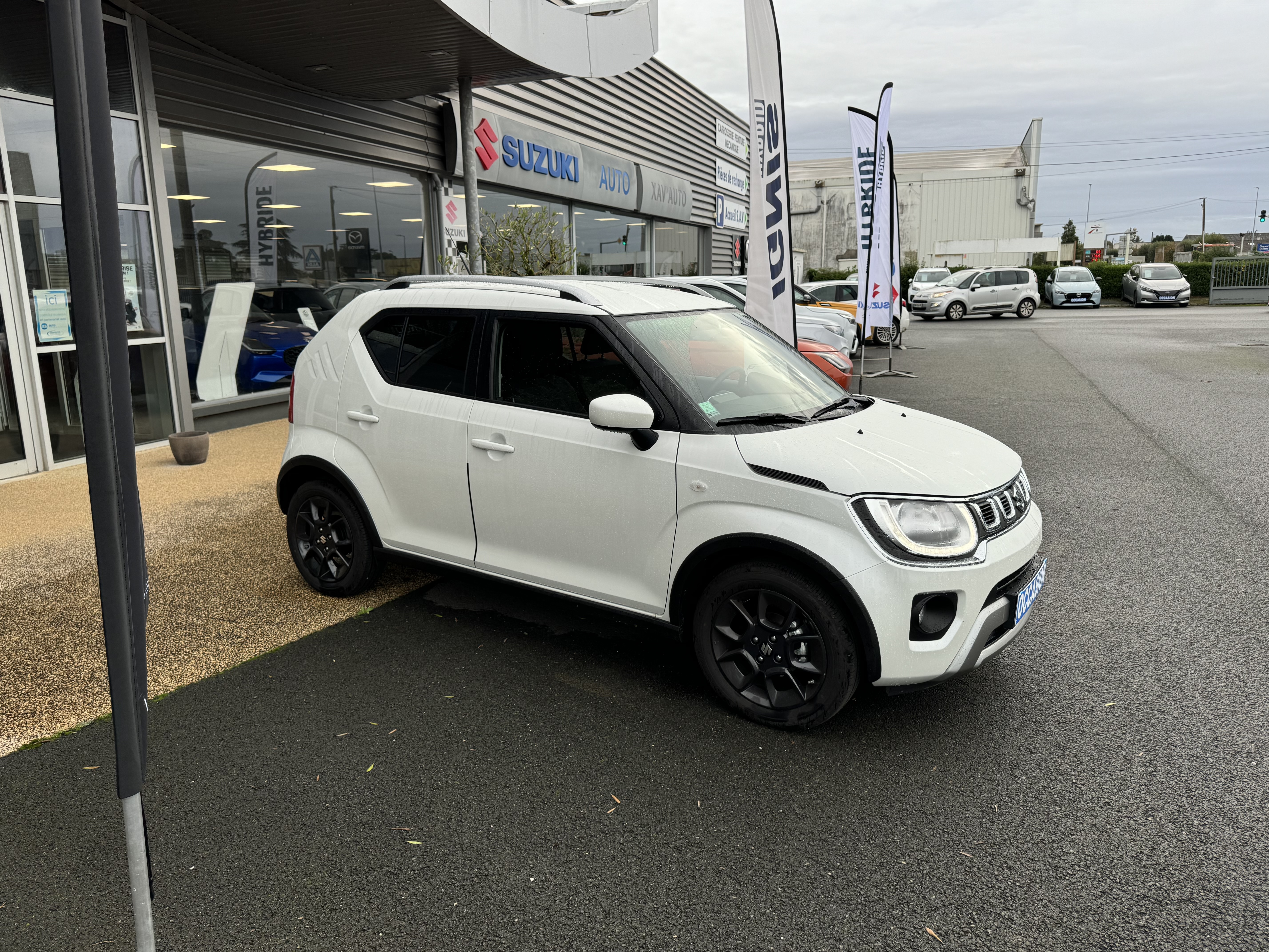 SUZUKI Ignis 1.2 Dualjet Hybrid Auto CVT Privilège - Véhicule Occasion Océane Auto