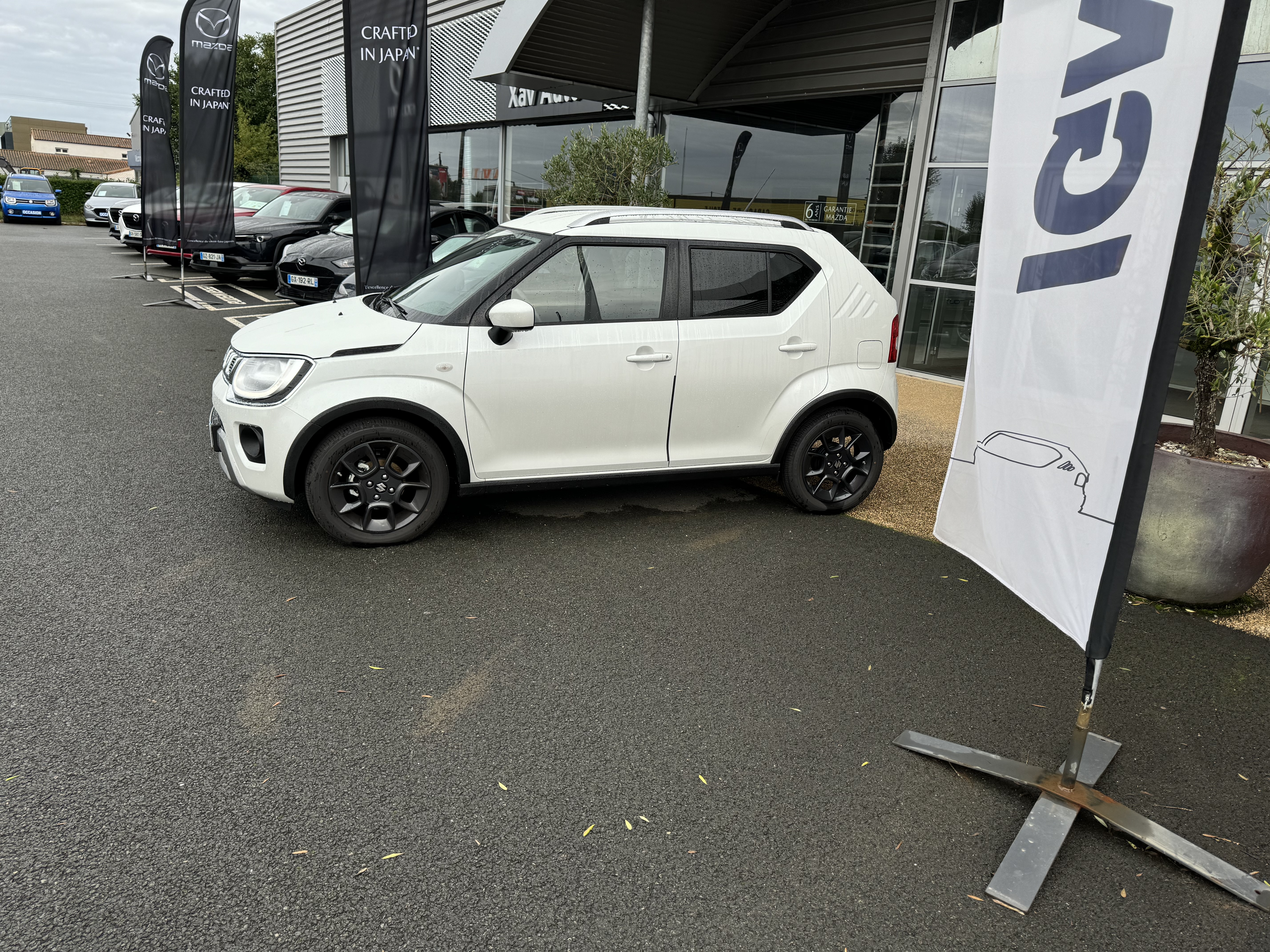 SUZUKI Ignis 1.2 Dualjet Hybrid Auto CVT Privilège - Véhicule Occasion Océane Auto