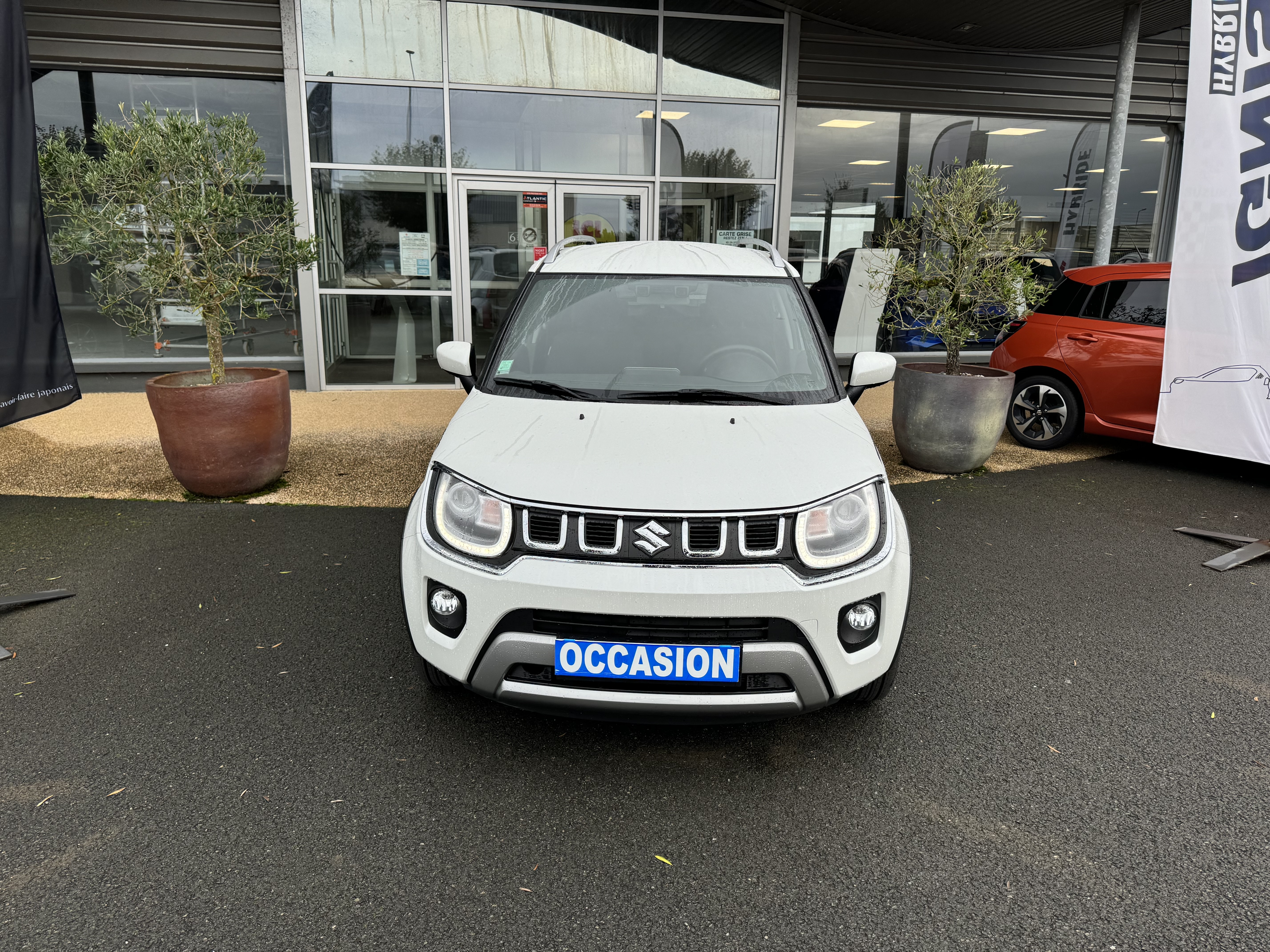 SUZUKI Ignis 1.2 Dualjet Hybrid Auto CVT Privilège - Véhicule Occasion Océane Auto