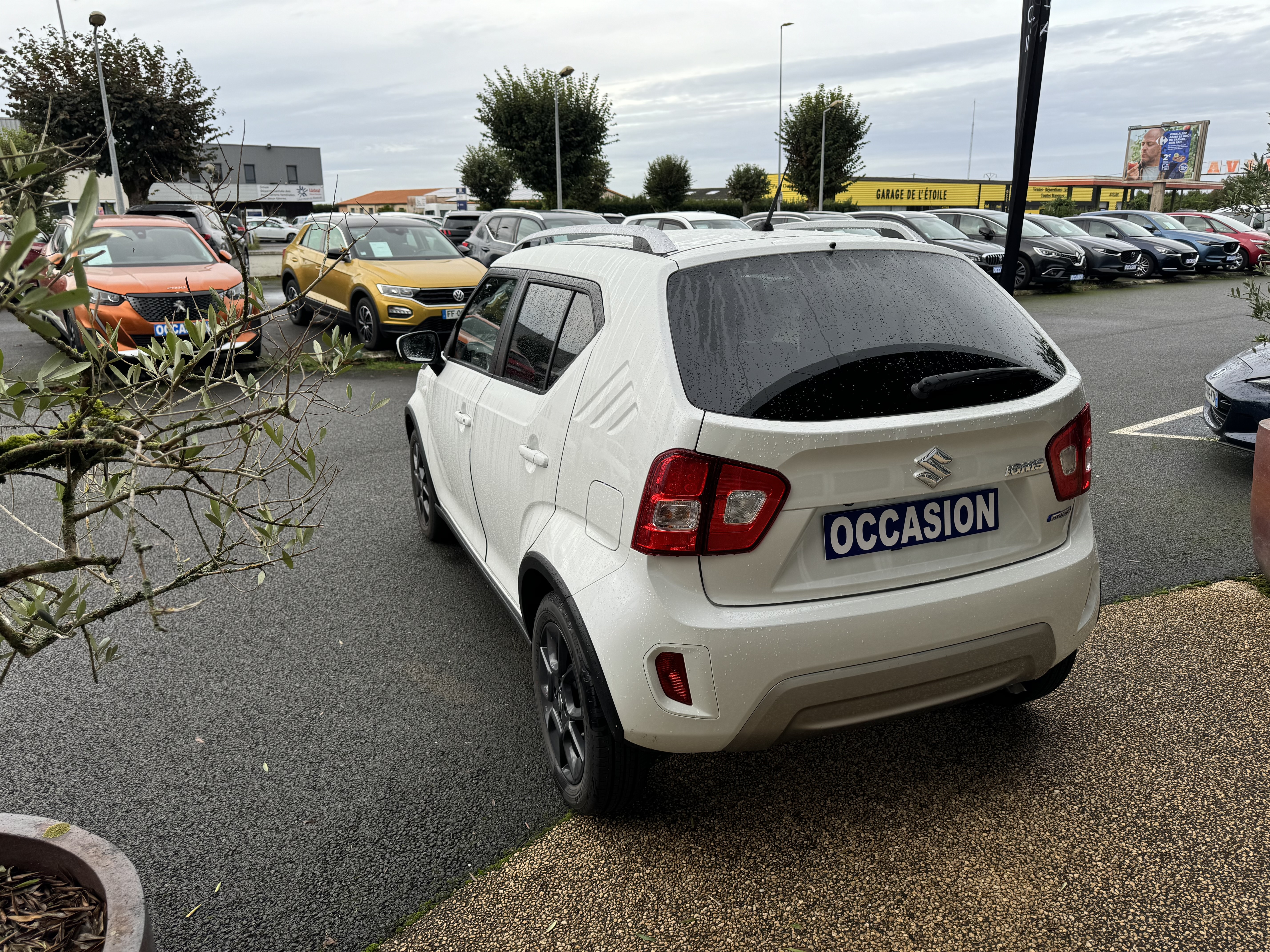 SUZUKI Ignis 1.2 Dualjet Hybrid Auto CVT Privilège - Véhicule Occasion Océane Auto