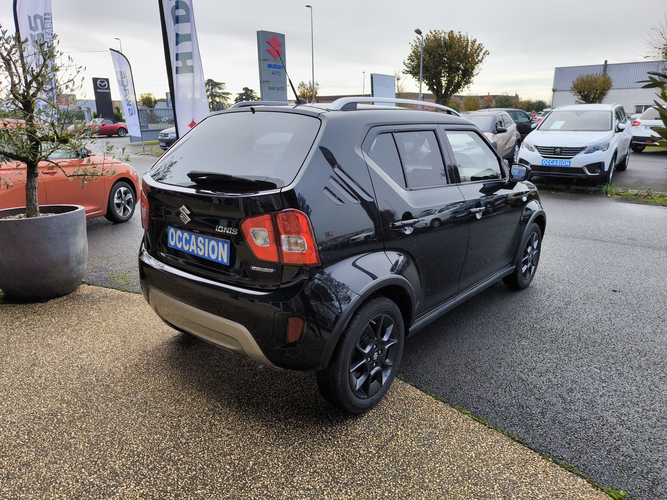 SUZUKI Ignis 1.2 Dualjet Hybrid Auto CVT Privilège - Véhicule Occasion Océane Auto