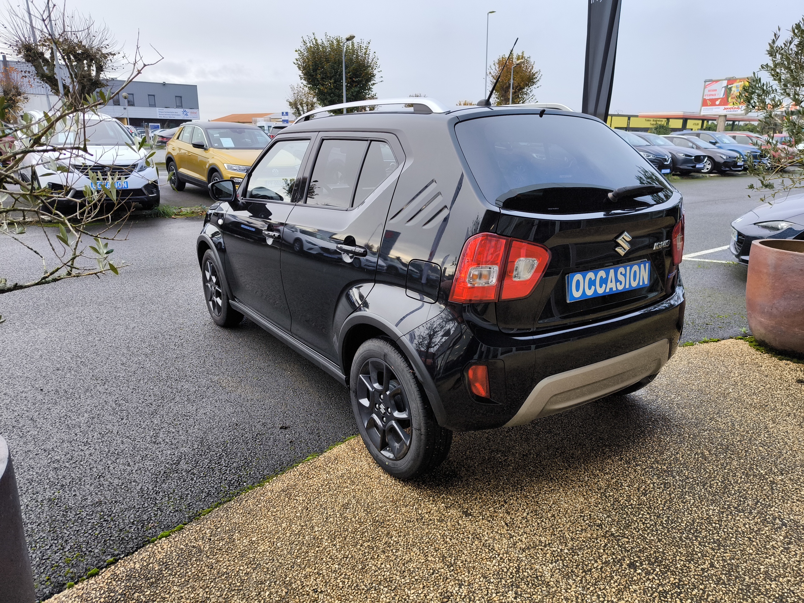 SUZUKI Ignis 1.2 Dualjet Hybrid Auto CVT Privilège - Véhicule Occasion Océane Auto