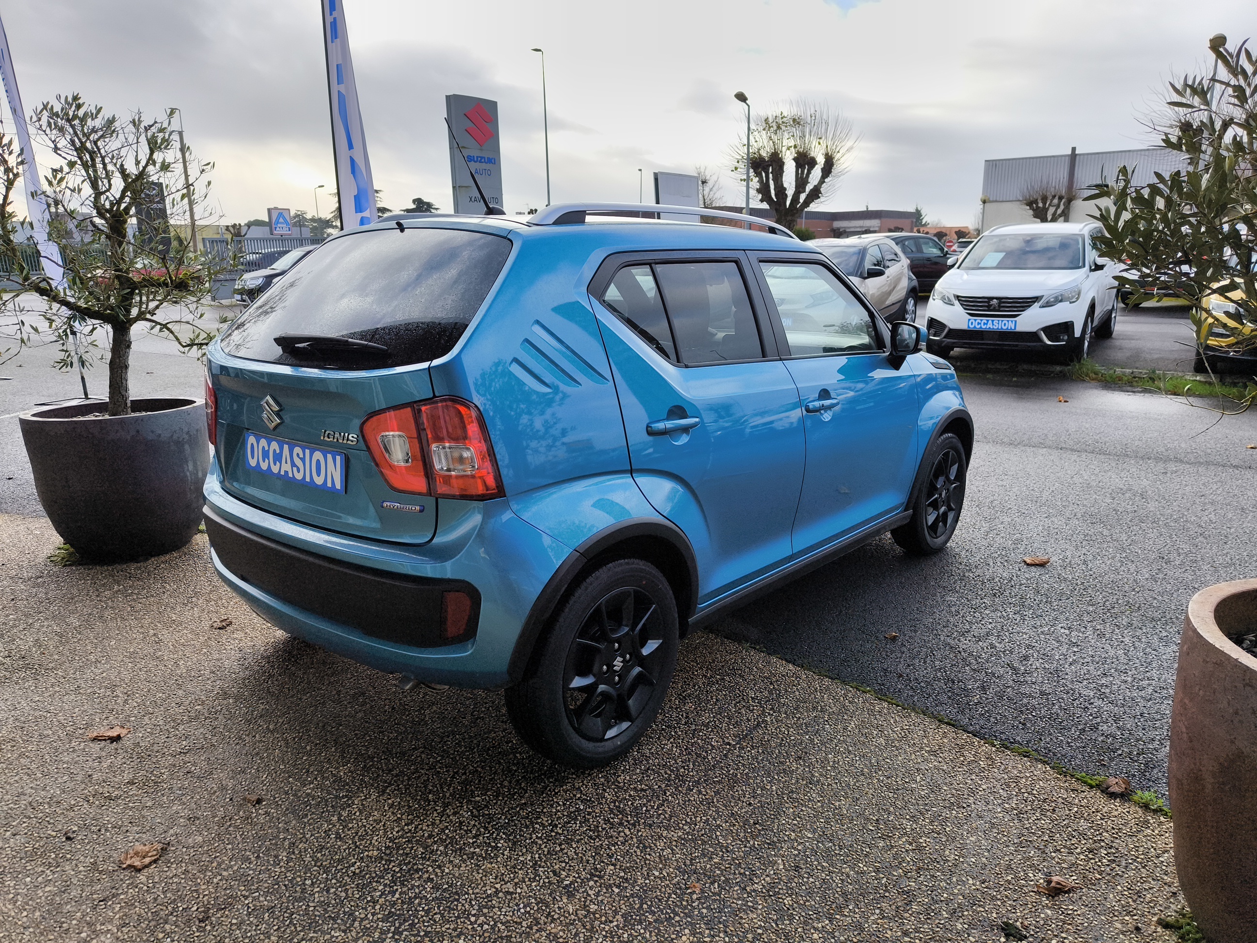 SUZUKI Ignis 1.2 Dualjet Hybrid Pack - Véhicule Occasion Océane Auto