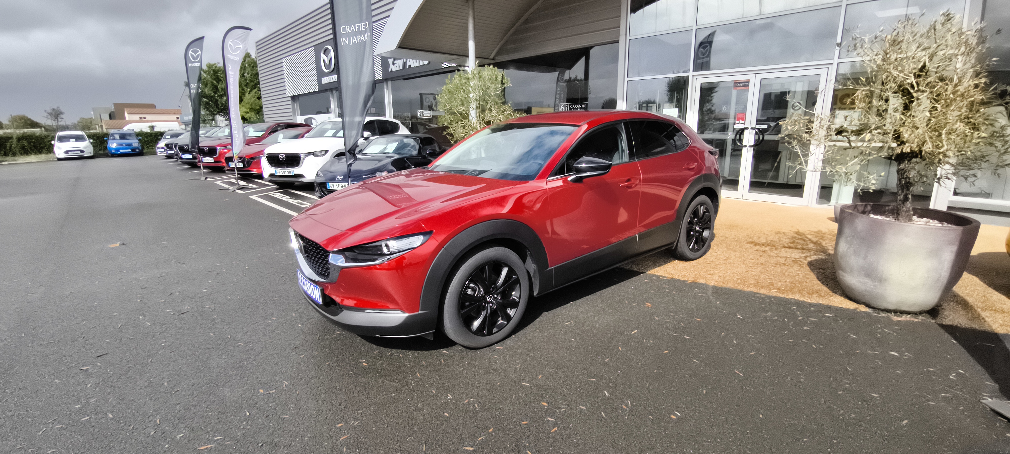 MAZDA CX-30 2.0L e-SKYACTIV X M Hybrid 186 ch 4x2 BVA6 Homura - Véhicule Occasion Océane Auto