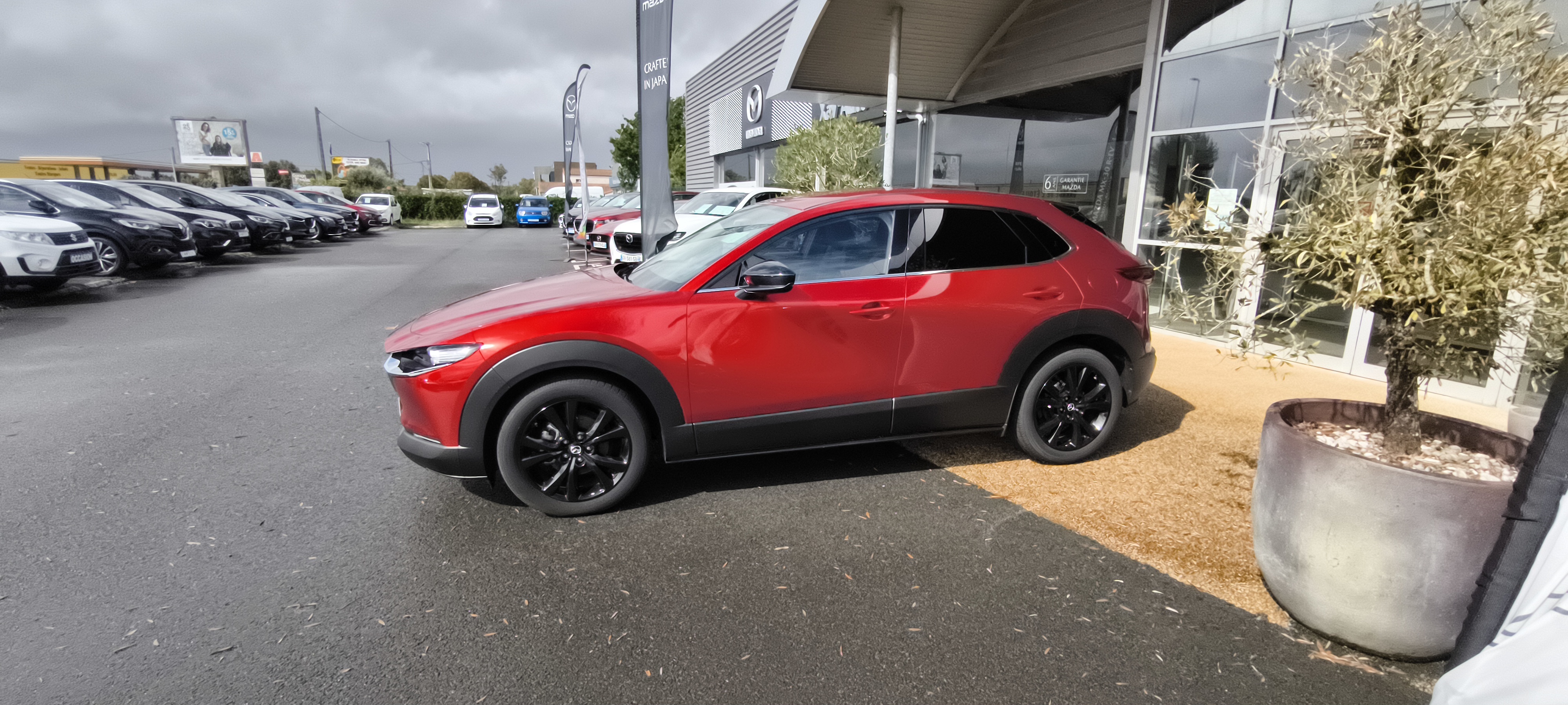 MAZDA CX-30 2.0L e-SKYACTIV X M Hybrid 186 ch 4x2 BVA6 Homura - Véhicule Occasion - Océane Auto MAZDA CX-30 2.0L e-SKYACTIV X M Hybrid 186 ch 4x2 BVA6 Homura - Véhicule Occasion Océane Auto