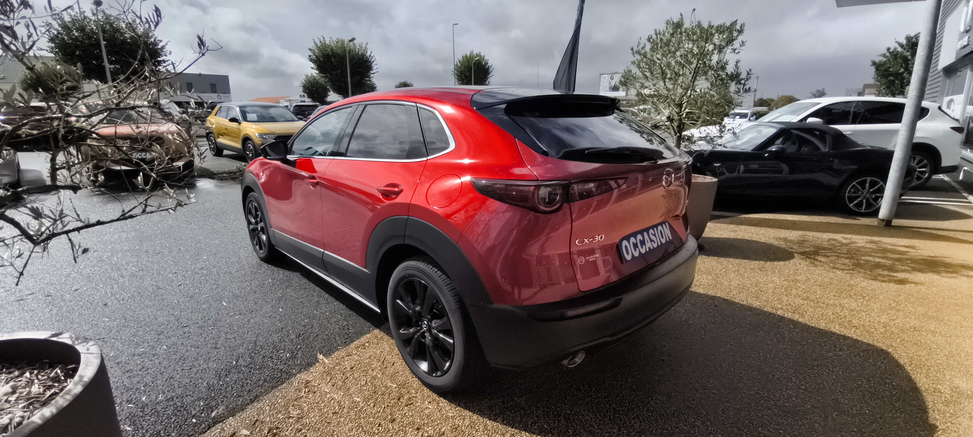 MAZDA CX-30 2.0L e-SKYACTIV X M Hybrid 186 ch 4x2 BVA6 Homura - Véhicule Occasion - Océane Auto MAZDA CX-30 2.0L e-SKYACTIV X M Hybrid 186 ch 4x2 BVA6 Homura - Véhicule Occasion Océane Auto