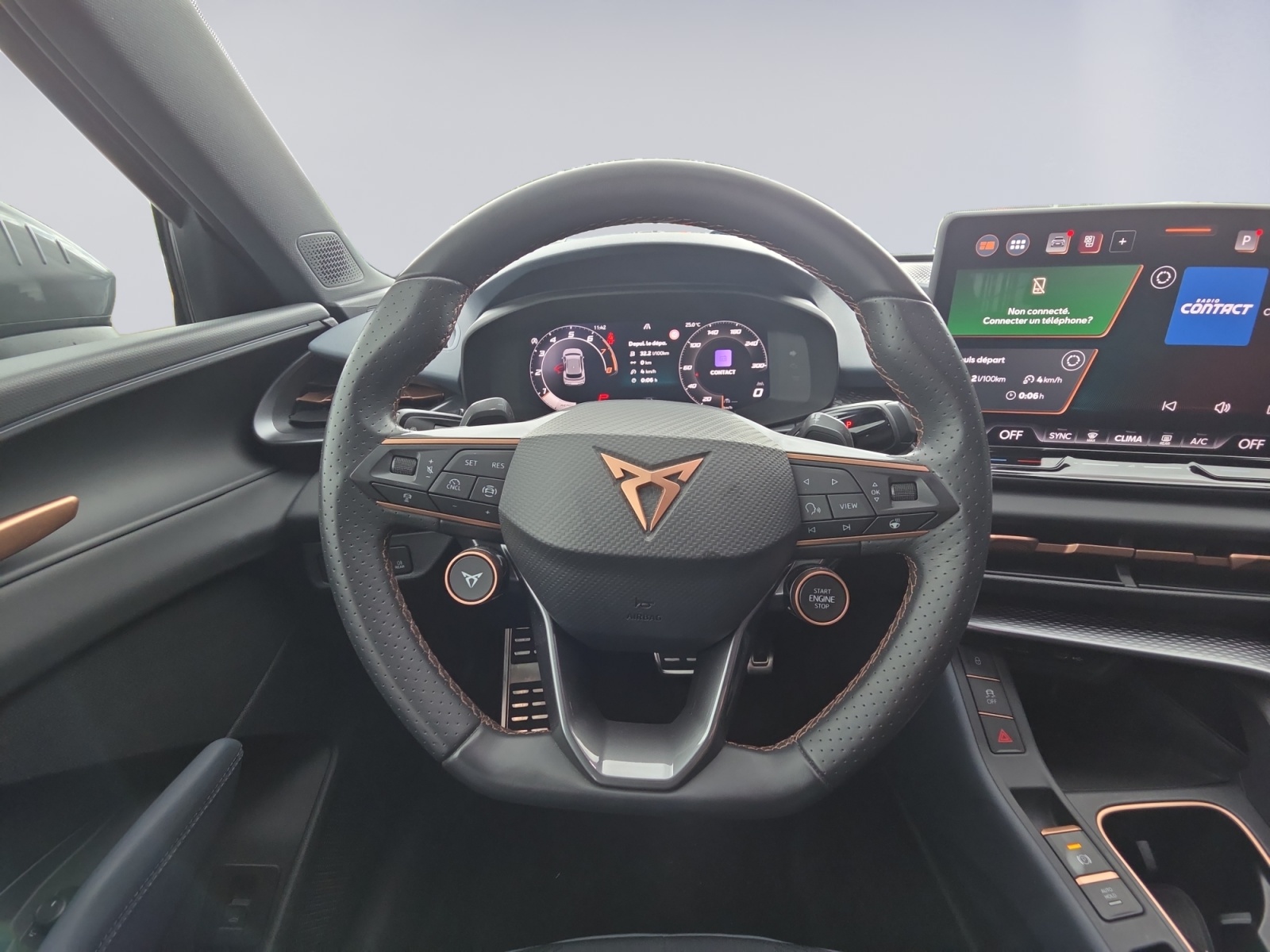 CUPRA TERRAMAR