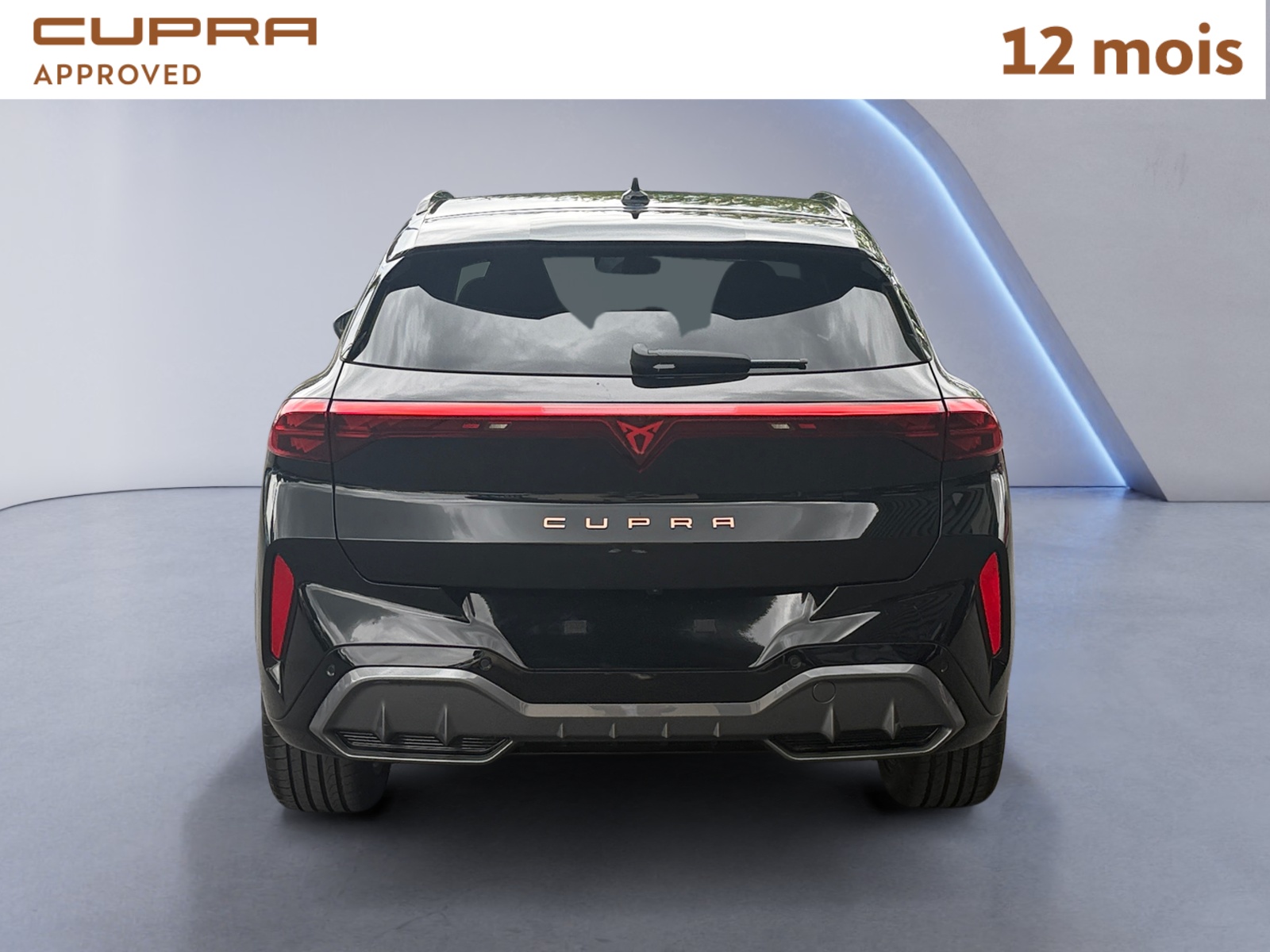 CUPRA TERRAMAR