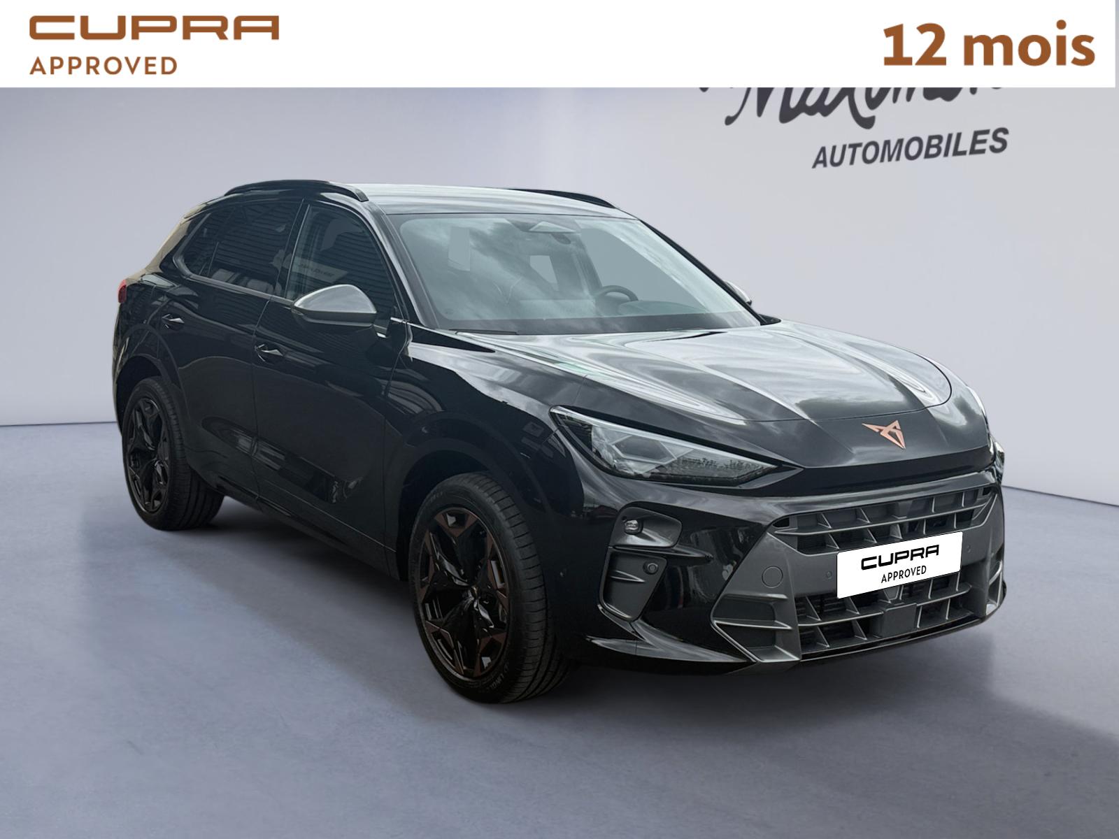 CUPRA TERRAMAR