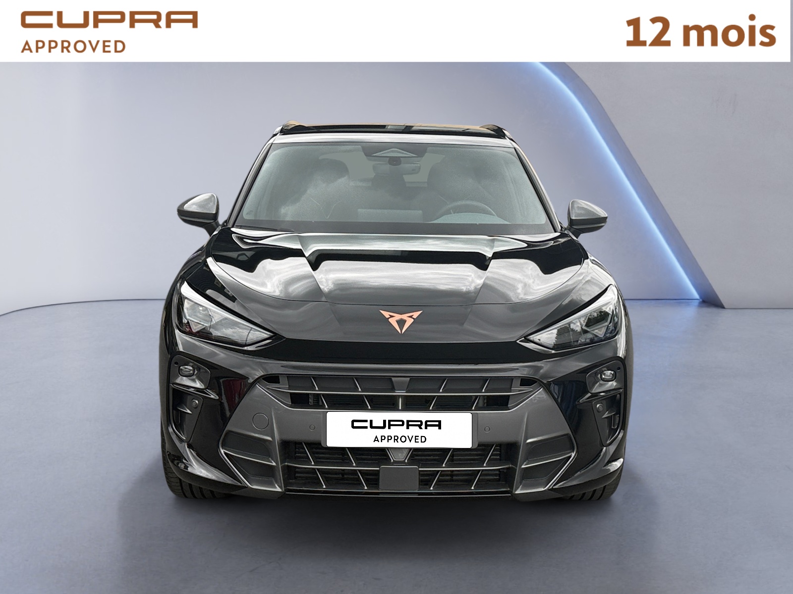 CUPRA TERRAMAR