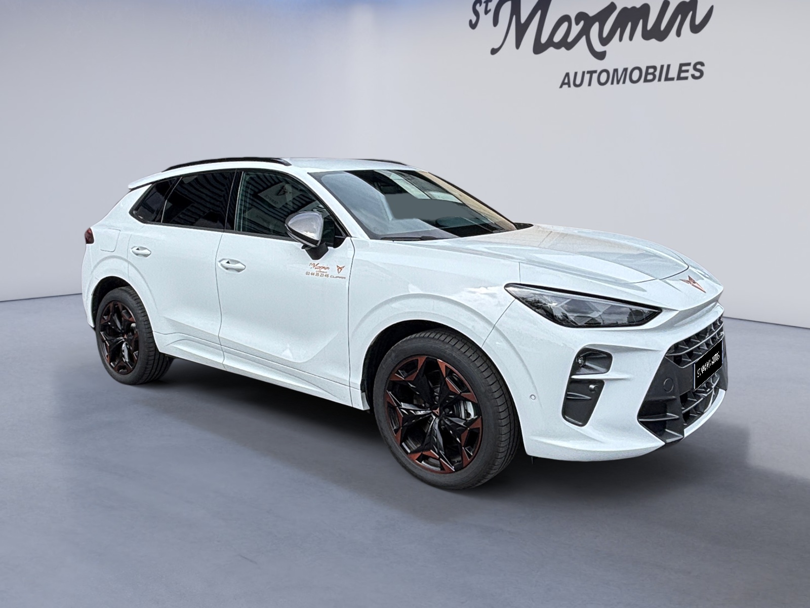 CUPRA TERRAMAR