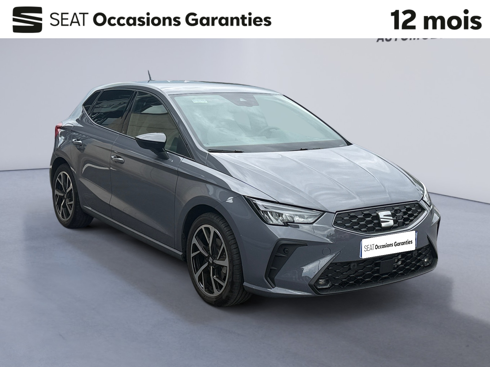 SEAT IBIZA