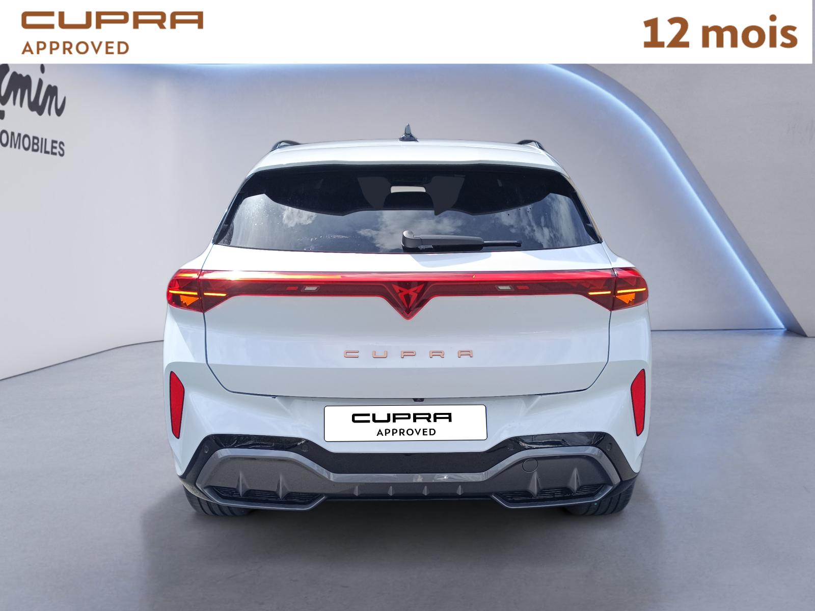 CUPRA TERRAMAR