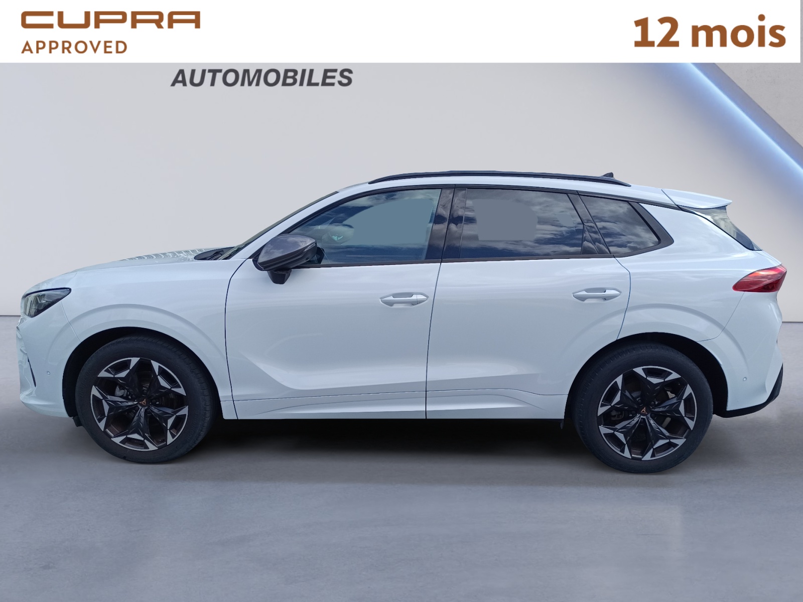CUPRA TERRAMAR