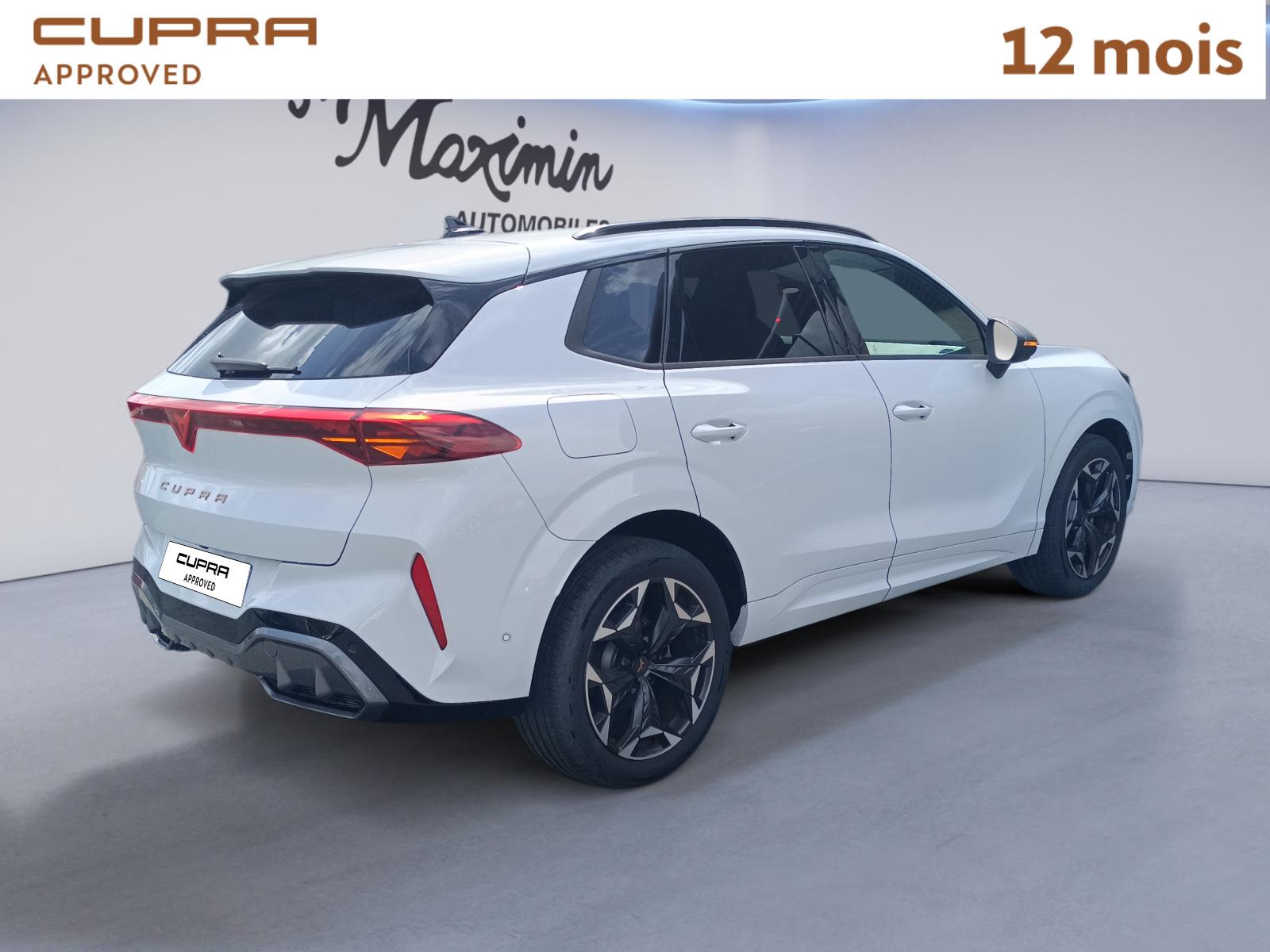 CUPRA TERRAMAR