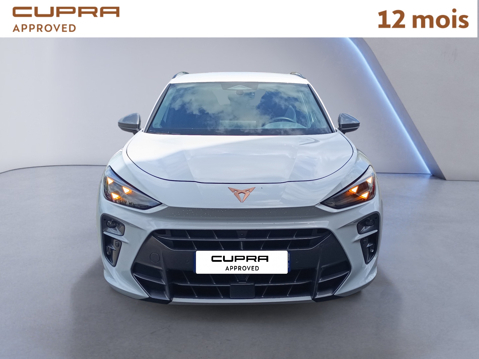 CUPRA TERRAMAR