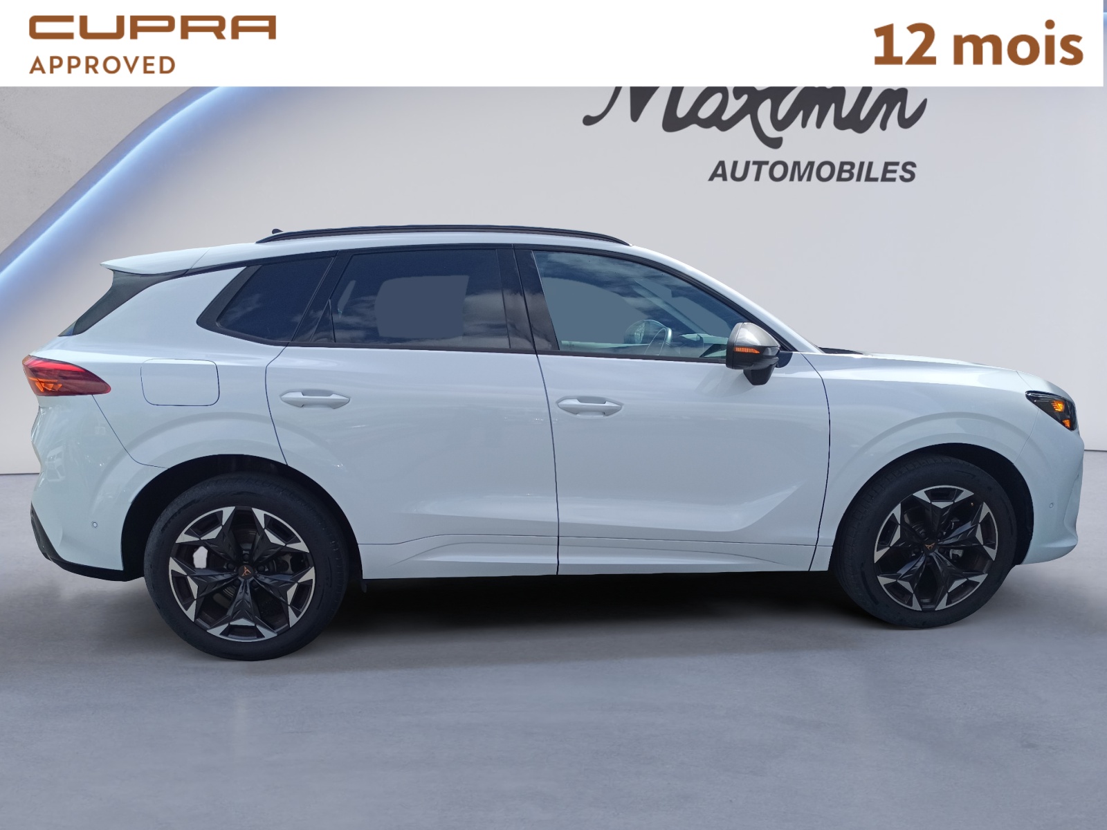 CUPRA TERRAMAR