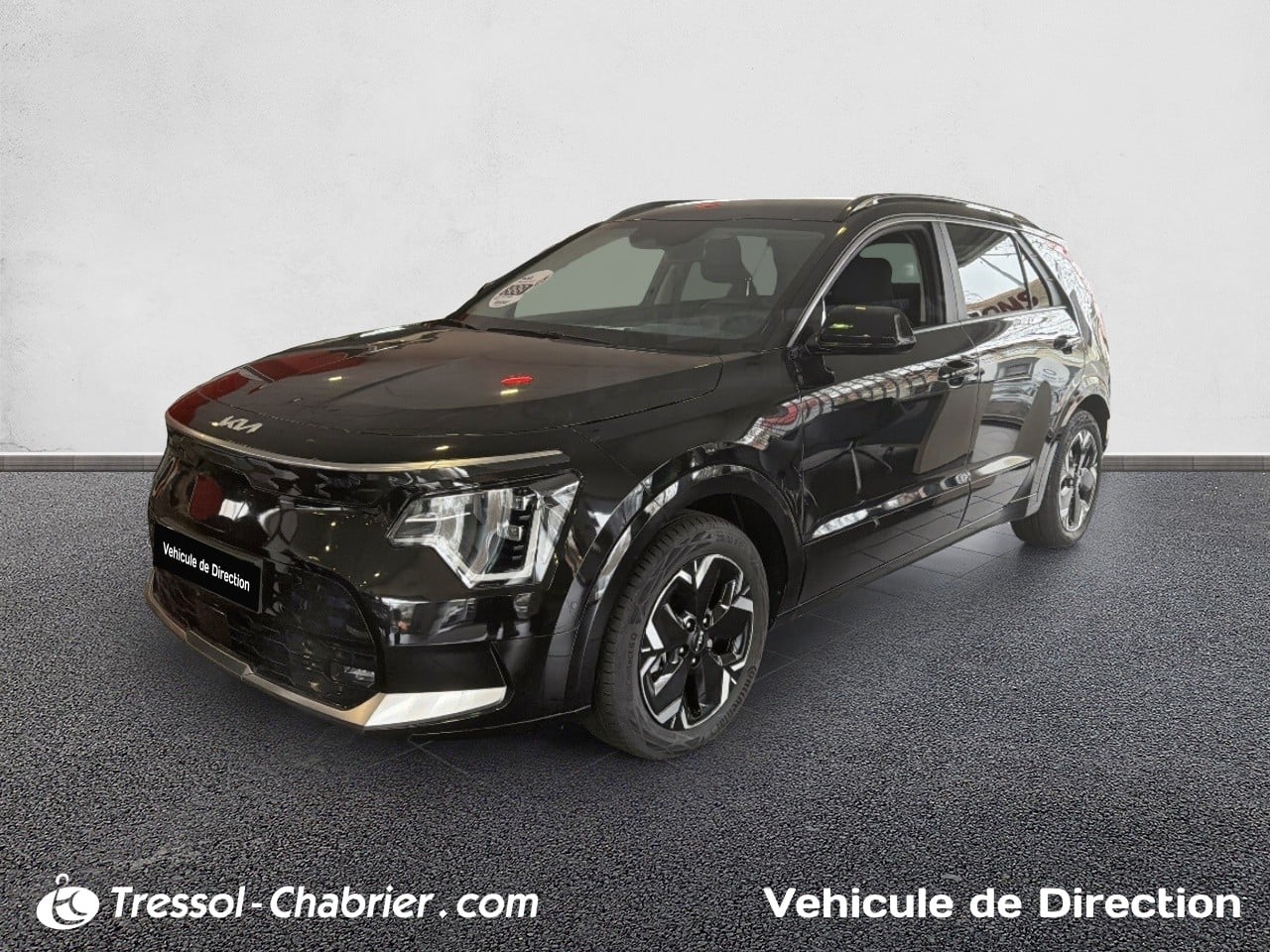 Kia NIRO EV PREM DW