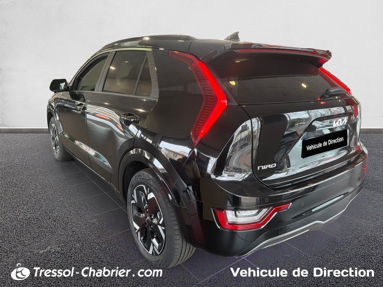 Kia NIRO EV PREM DW