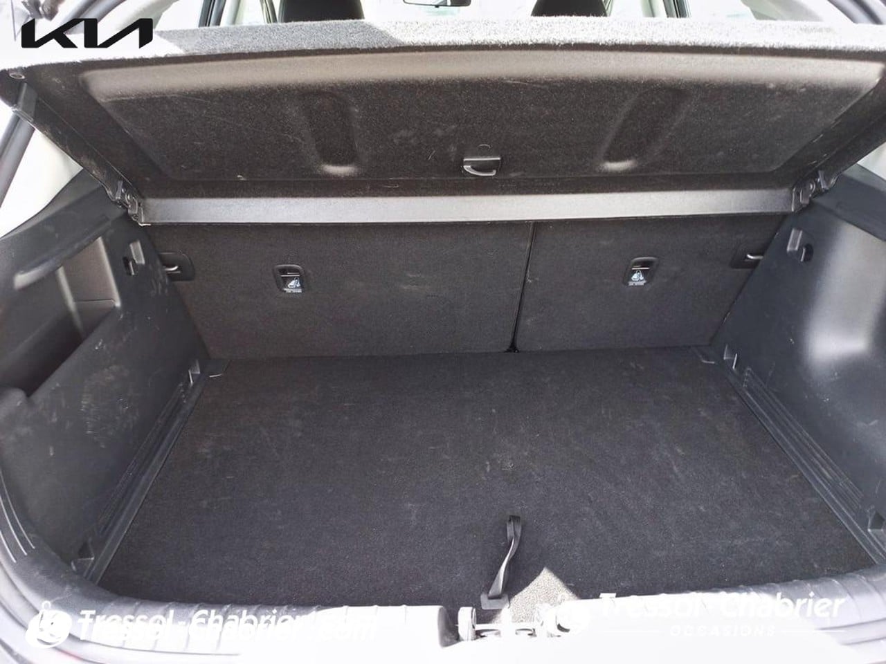 Kia STONIC ACTIVE 100 BVM MY25B