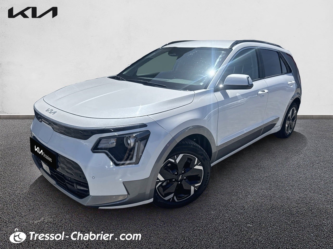 Kia NIRO EV ACTIVE GRIS