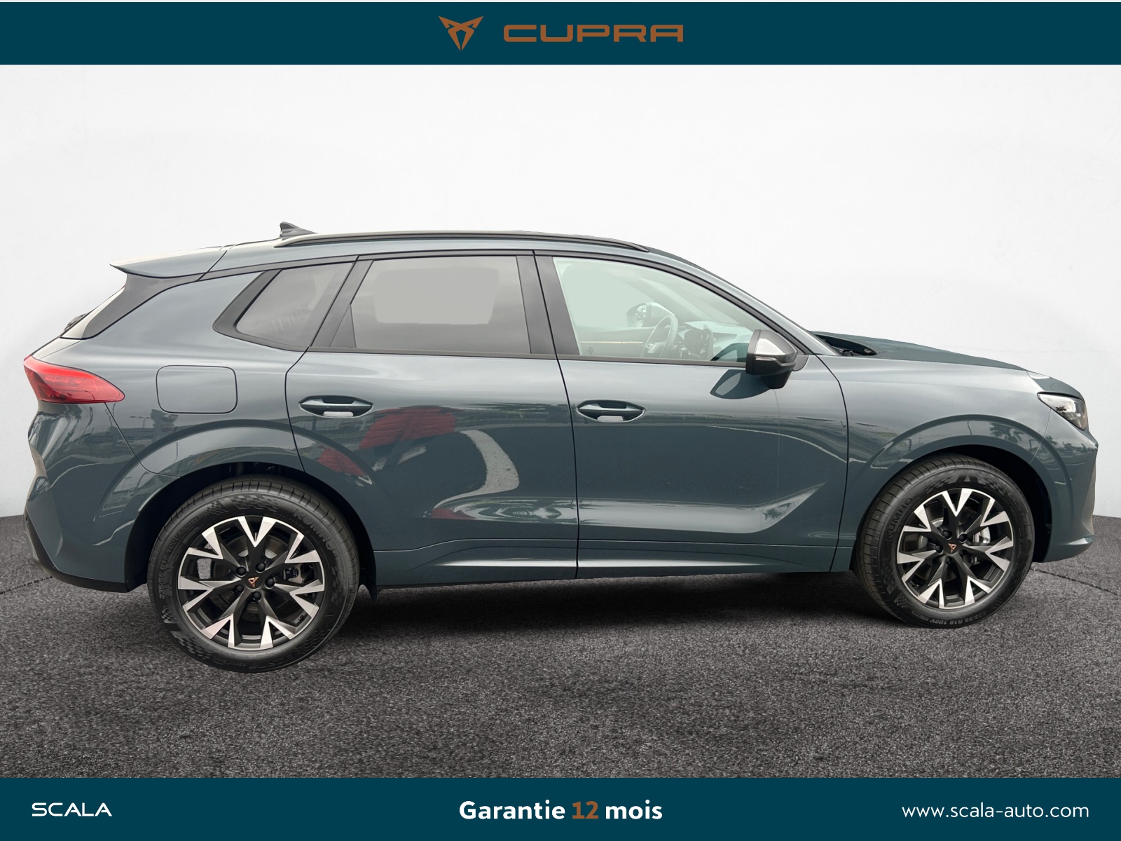 CUPRA TERRAMAR PROFIL+DROIT