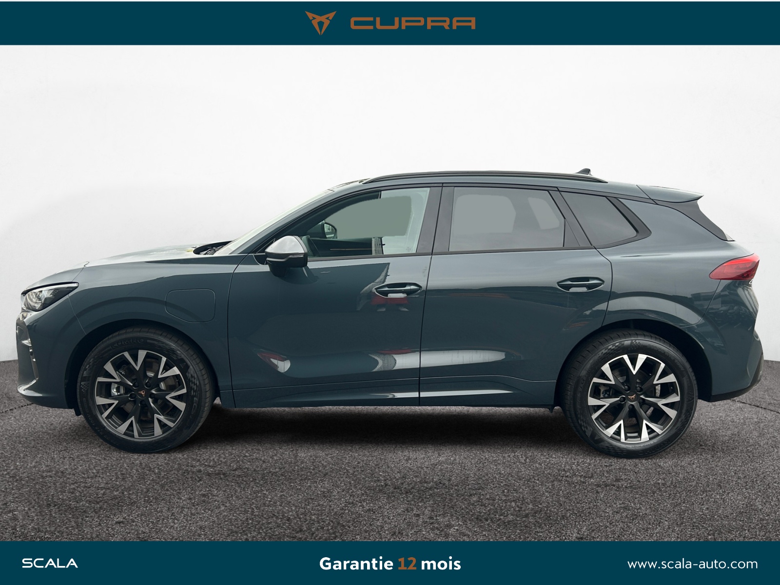 CUPRA TERRAMAR PROFIL+GAUCHE