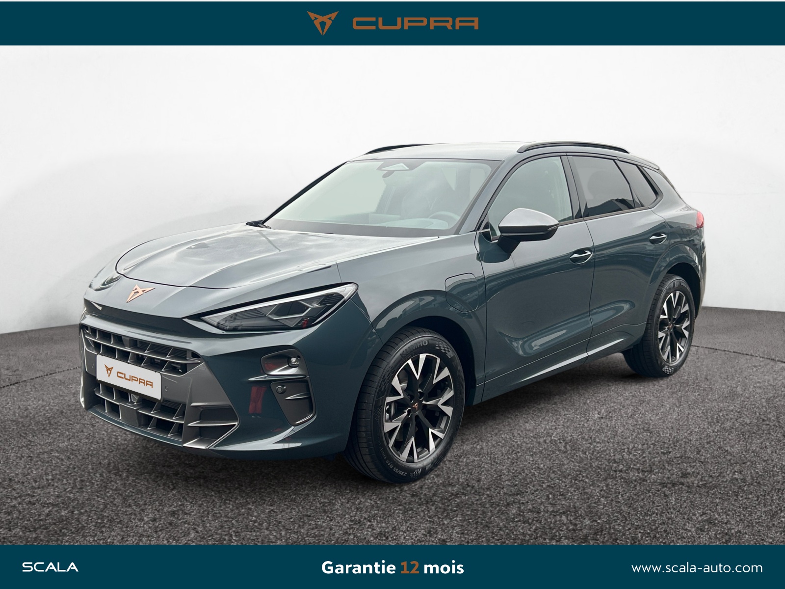 CUPRA TERRAMAR 34+AVANT+GAUCHE
