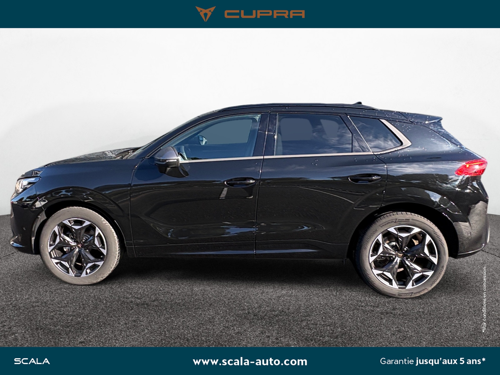 CUPRA TERRAMAR PROFIL+GAUCHE