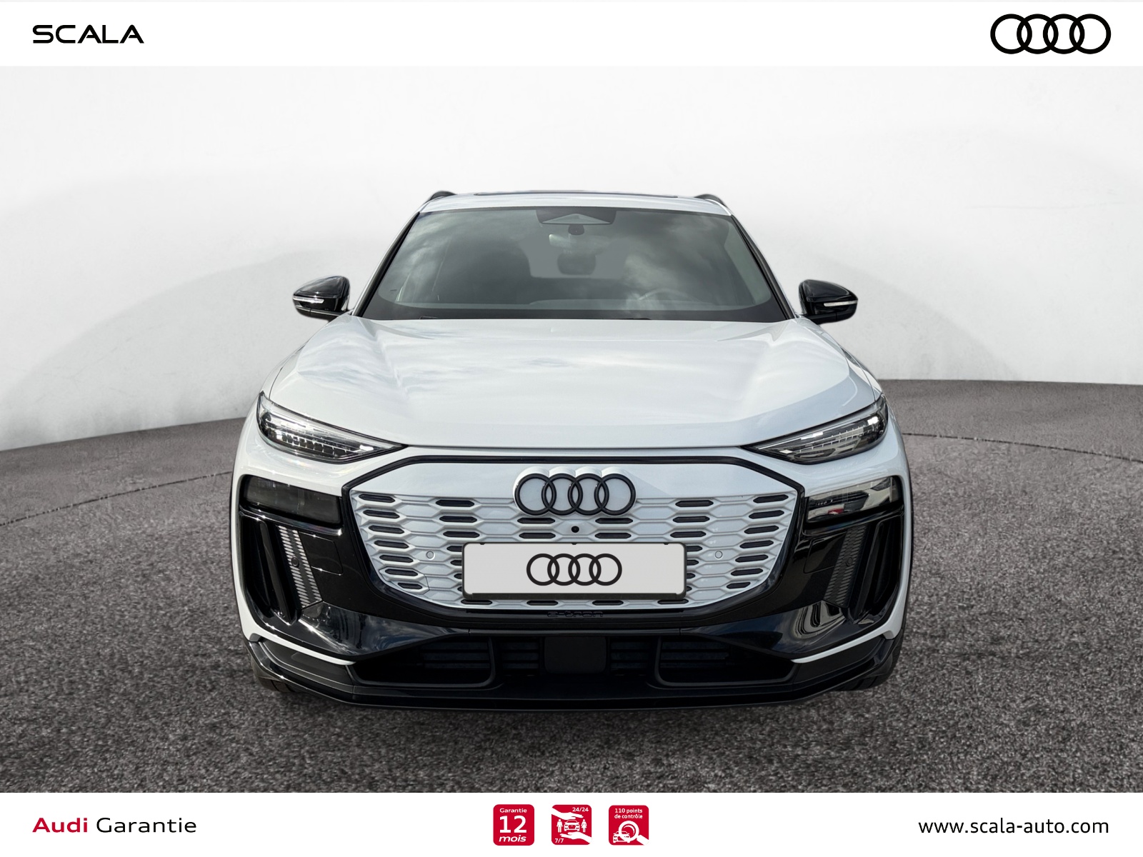 AUDI Q6+E TRON FACE+AVANT