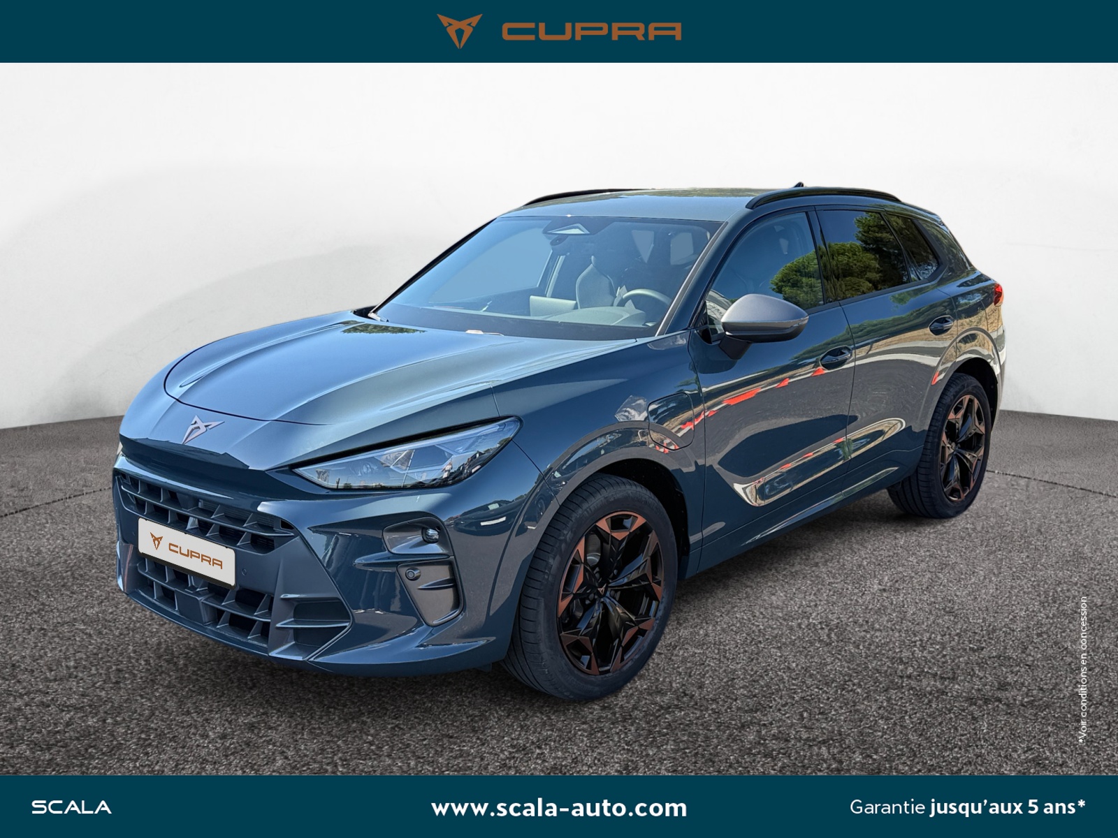 CUPRA TERRAMAR