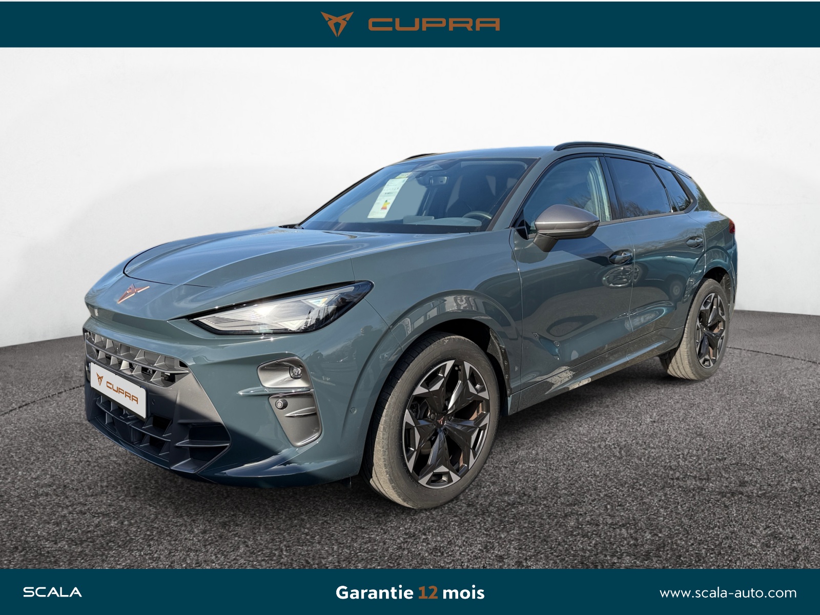 CUPRA TERRAMAR 34+AVANT+GAUCHE