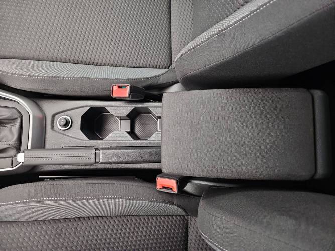 Polo 1.0 TSI 95 S&amp;S DSG7