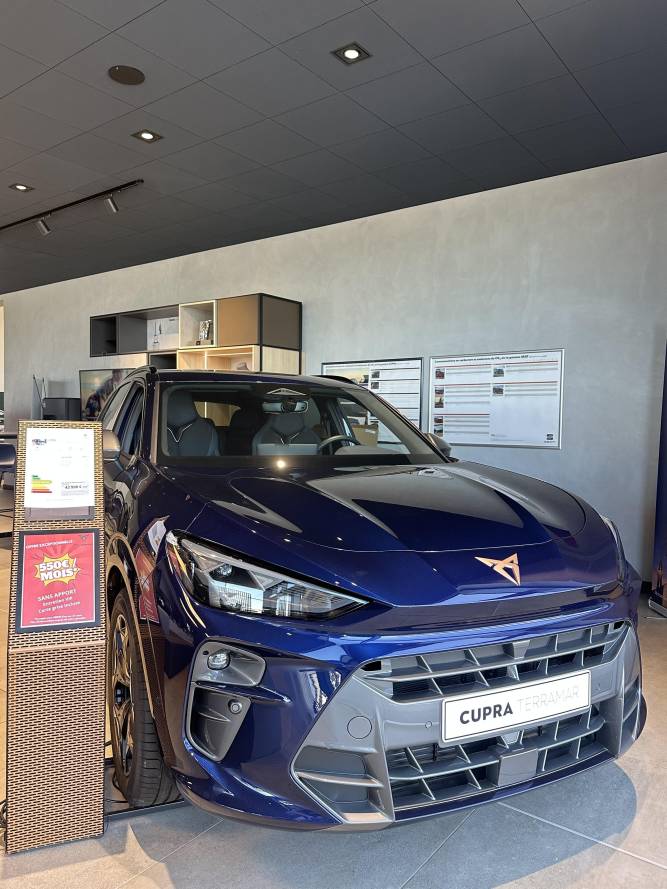 Terramar 1.5 eTSI Hybrid 150 ch DSG7