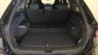 Kodiaq 2.0 TDI 150 ch SCR DSG7 7pl
