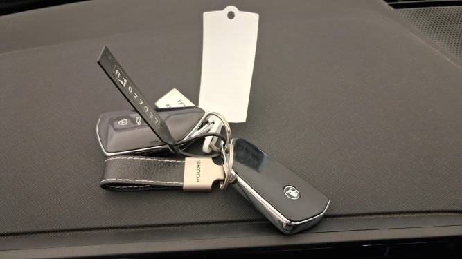 Kodiaq 2.0 TDI 150 ch SCR DSG7 7pl