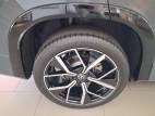 Tayron 1.5 eTSI 150ch DSG7 7pl