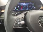 Fabia 1.0 TSI 110 ch DSG7