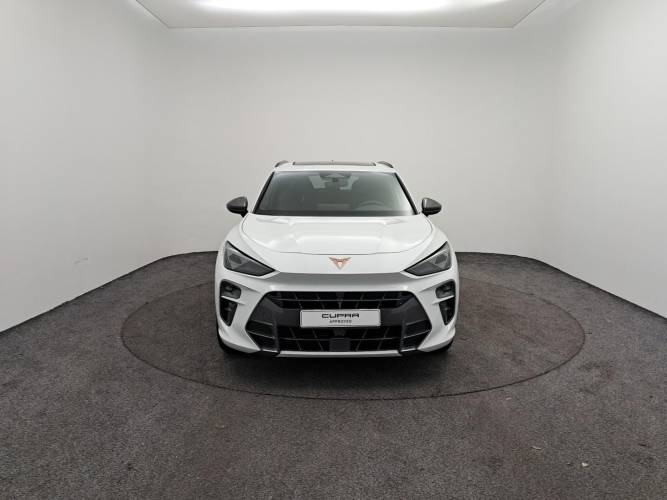 Terramar 1.5 eTSI Hybrid 150 ch DSG7