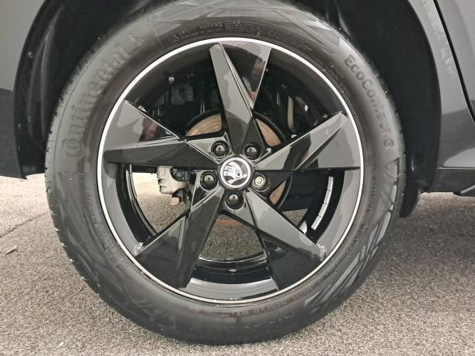 Kamiq 1.0 TSI Evo 110 ch DSG7