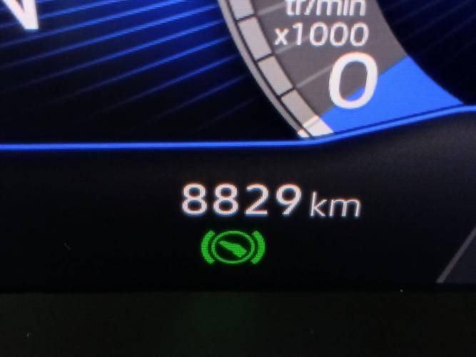 Polo 1.0 TSI 95 S&amp;S DSG7