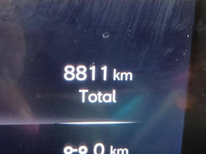 Ibiza 1.0 TSI 115 ch S/S DSG7