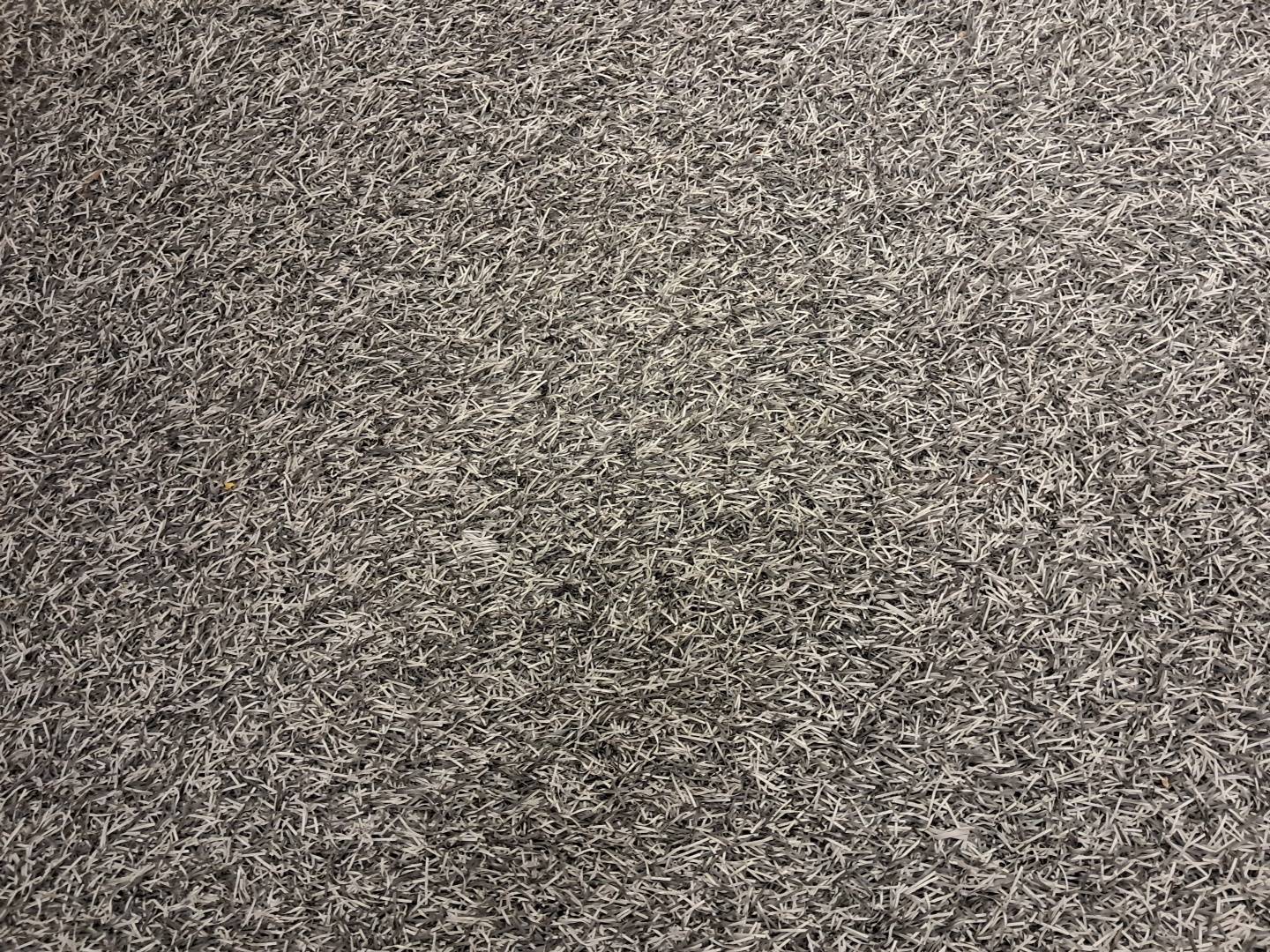 Q7 55 TFSI e 380 Tiptronic 8 Quattro